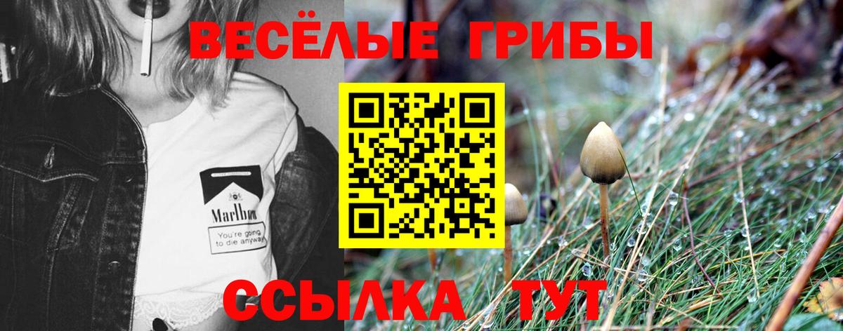 Галлюциногенные грибы мухоморы Жигулёвск