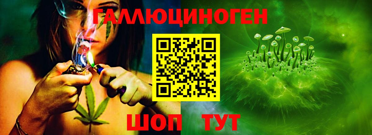 Жигулёвск  Псилоцибиновые грибы прущие грибы  Вход с VPN  Галлюциногенные грибы Cubensis 